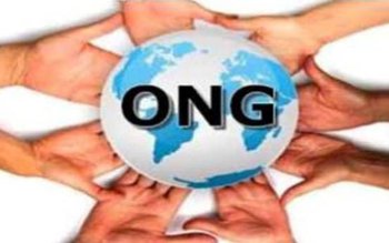 IHTIS: FIRME pentru ONG-uri – …