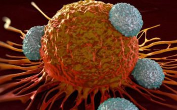 De ce se răspândeşte aşa …