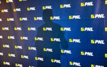 Șeful de campanie al PNL, …