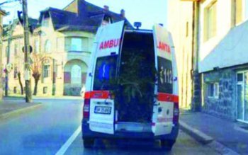 Alo, 112? Veniţi, vă rog, …