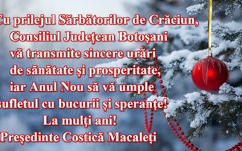 Preşedintele Consiliului Judeţean, Costică Macaleți, …