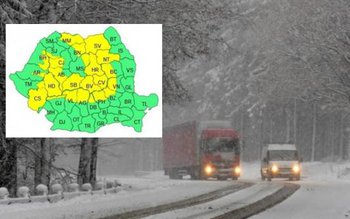 Cod galben de ninsori şi …