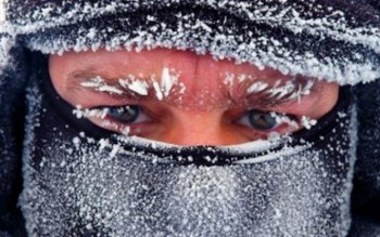 Cod galben de ger în …