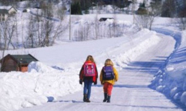 Cursurile se reiau miercuri în şcolile din județul Botoșani