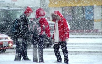 Se întorc ninsorile şi viscolul. …