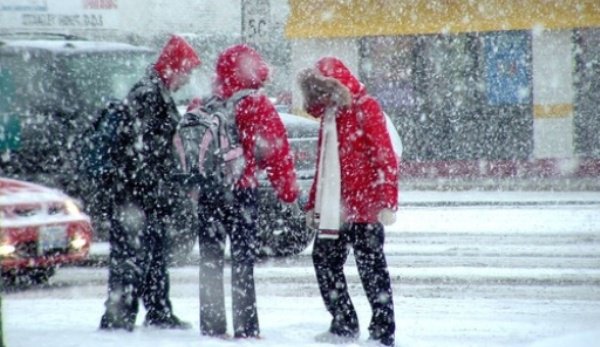 Se întorc ninsorile şi viscolul. Urmează trei zile de iarnă grea şi temperturi de minus 14 grade Celsius