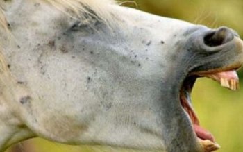 Tânăr ajuns de urgență la …