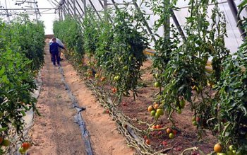 Lucian Trufin: „40.000 de fermieri …