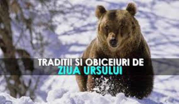 Obiceiuri care trebuie respectate în luna februarie: Ce este Ziua Ursului?