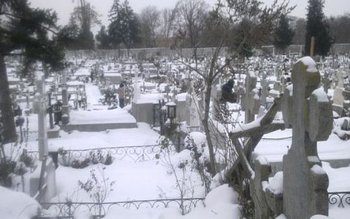 Un bărbat din Botoșani a …