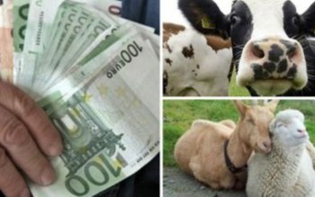 Subvențiile pentru fermieri vor începe …