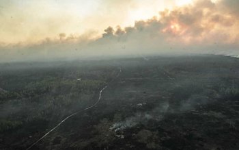 Alertă radioactivă în Europa. Primele …