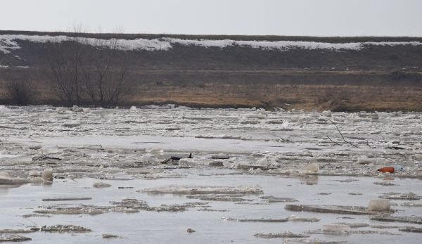 Alertă de poluare pe mai multe râuri din estul ţării