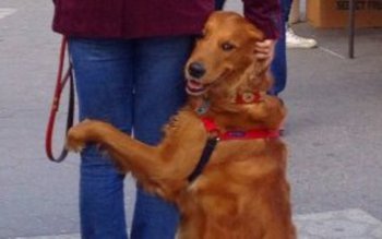 Acestea sunt semnele care prevestesc …