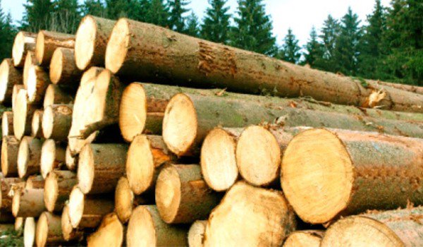 Ai nevoie de lemn, vrei să faci o afacere profitabilă? Înscriete la licitație pentru vânzare masă lemnoasă fasonată