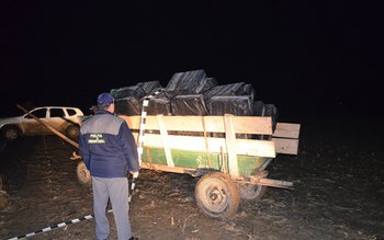 Captură record de ţigări la …