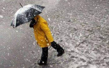 COD GALBEN de viscol în …