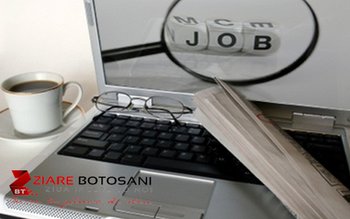 Ofertă AJOFM Botoșani: 538 locuri …