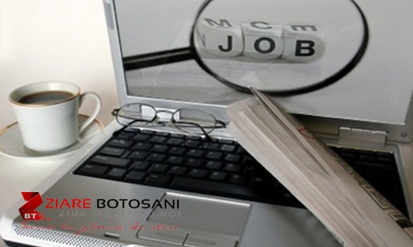 Ofertă AJOFM Botoșani: 538 locuri de muncă disponibile în județ!