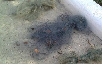 Doi bărbați din Mileanca depistaţi …