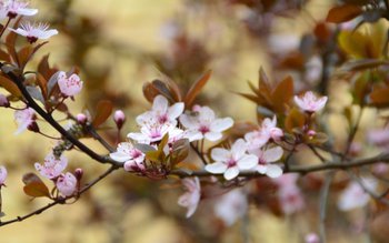 Încă o zi caldă, cu …