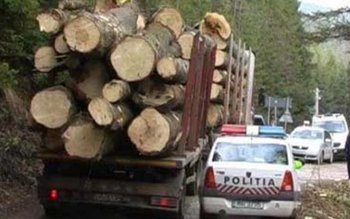 Amenzi de 7 mii lei …