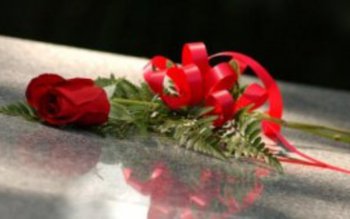 Tragedie. Fiica unui lider local …