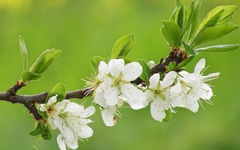 Vine un weekend superb. Parcă …