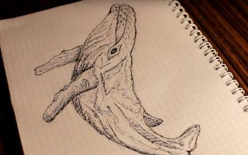 Poliția a identificat şase copii …