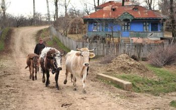 Nordul Moldovei, pe podiumul săracilor …