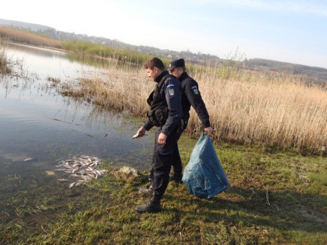 Dosar penal pentru braconaj piscicol. Botoșăneni prinși de jandarmii suceveni la pescuit ilegal - FOTO