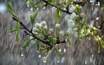 Vremea se strică începând de …