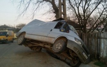 Fetiță de 5 ani în …