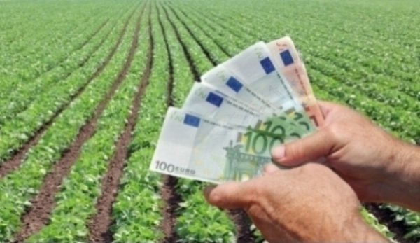 APIA anunță subvenții de până la 6.305 euro/hectar pentru sectorul vegetal