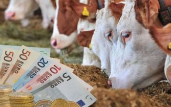 O nouă subvenție pentru fermieri. …