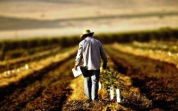 Agricultorii, obligați din 2018 să …