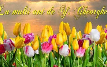 Cele mai frumoase mesaje, felicitări …