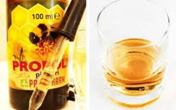 Tratamentul cu propolis pentru ulcer …