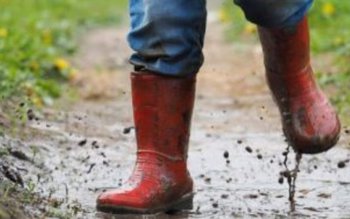 Revin ploile şi frigul! ANM …