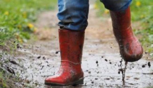 Revin ploile şi frigul! ANM a emis o informare meteo de vreme rea