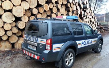 Depozit de material lemnos verificat …