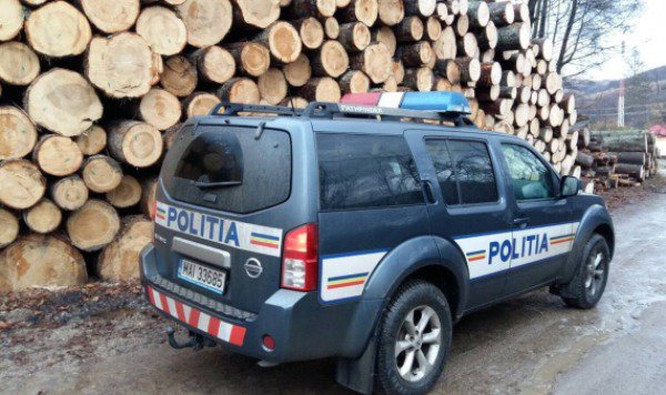 Depozit de material lemnos verificat de poliţişti. Vezi ce au descoperit și măsurile luate!