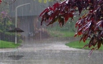 Avertizare meteo Cod galben de …