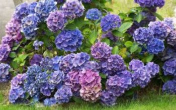 Cele mai bune sfaturi pentru …