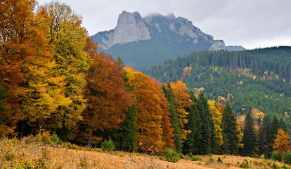 Prima etapă din Ștafeta Munților din acest an în are loc în Masivul Ceahlău