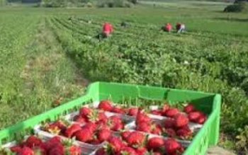 60 de locuri de muncă …