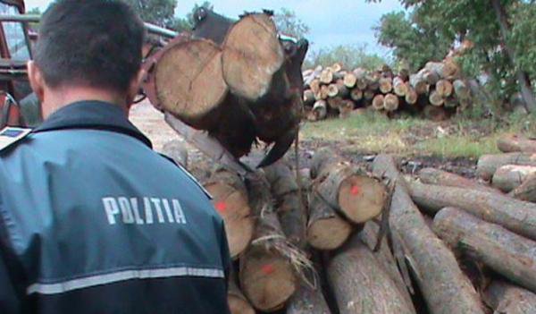 Material lemnos fără documente legale, confiscat de poliţişti.