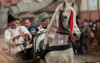 Astăzi este Paştele Cailor. Ce …