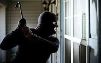 Autori ai unor furturi din …