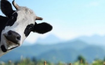 Bărbat de 75 de ani, …